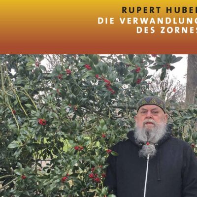 «Die Verwandlung des Zornes», de Rupert Huber
