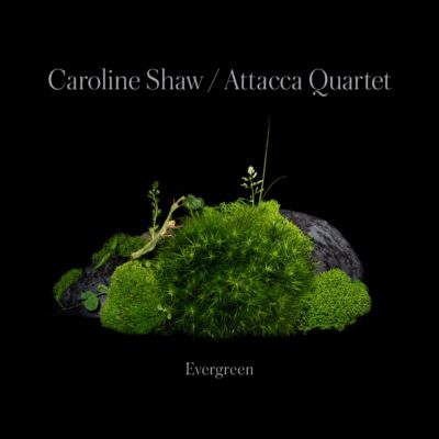 Caroline Shaw / Attacca Quartet: “Evergreen”